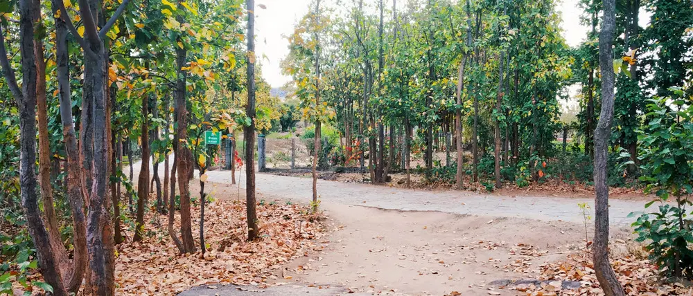 Biodiversity Park, <em>Ranchi</em>