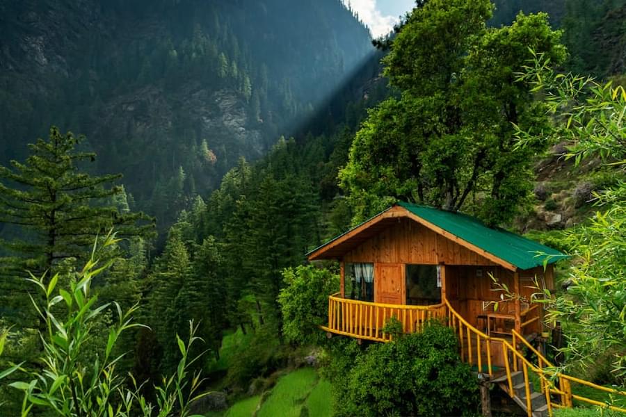 View the enchanting beauty of Jibhi from the tree house