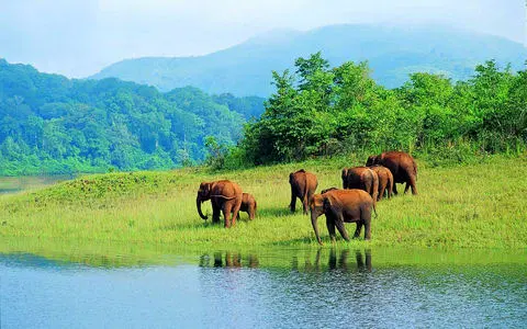 Idukki