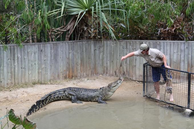 Hartley's Crocodile Adventures