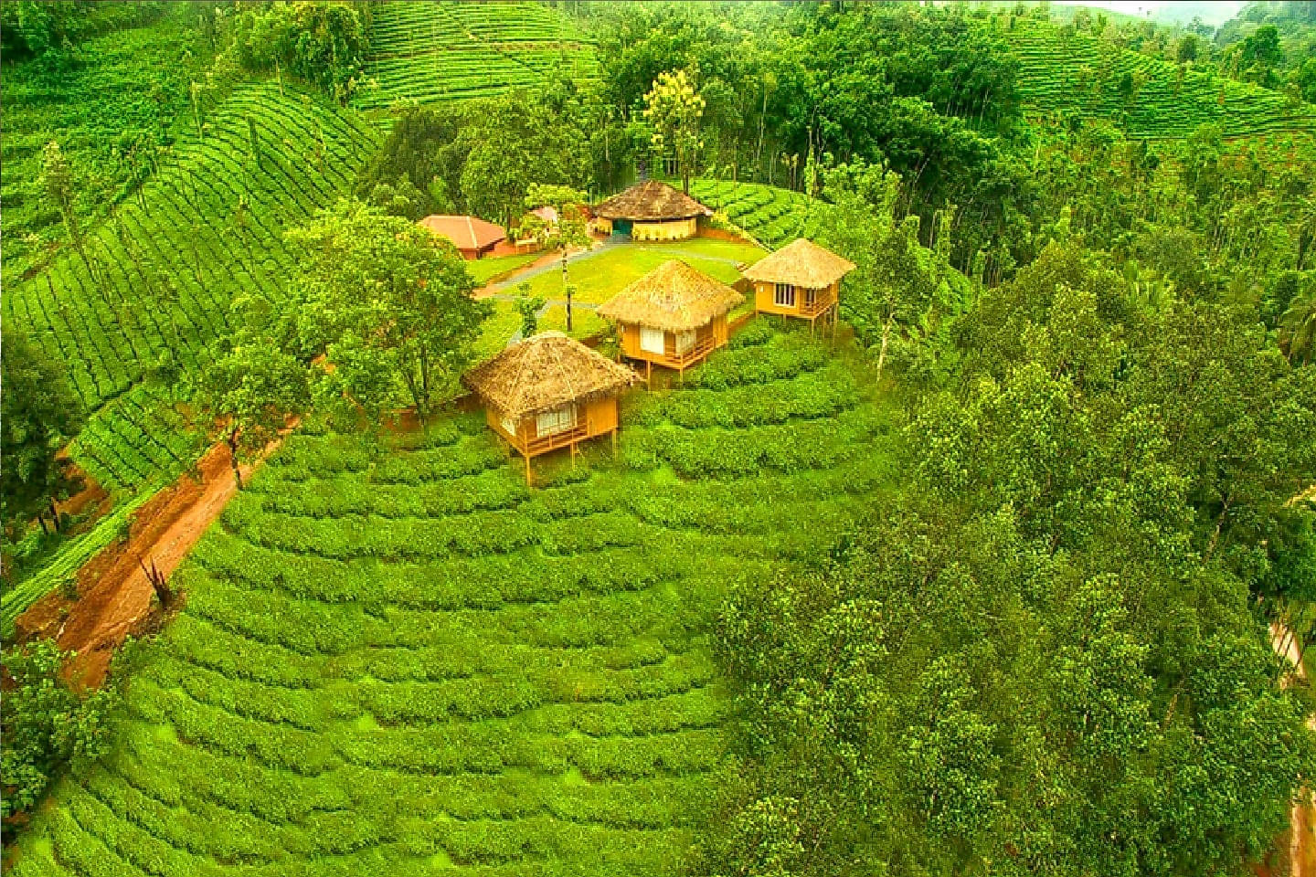 A Quiet Hideaway Amidst the Lush Outdoors of Wayanad