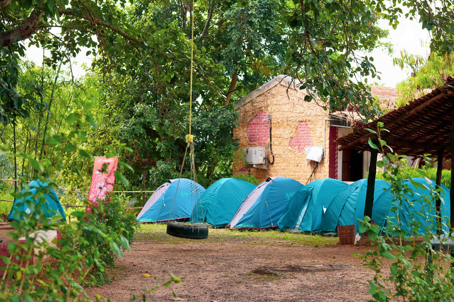 Overnight Camping With Activities At Pench Image