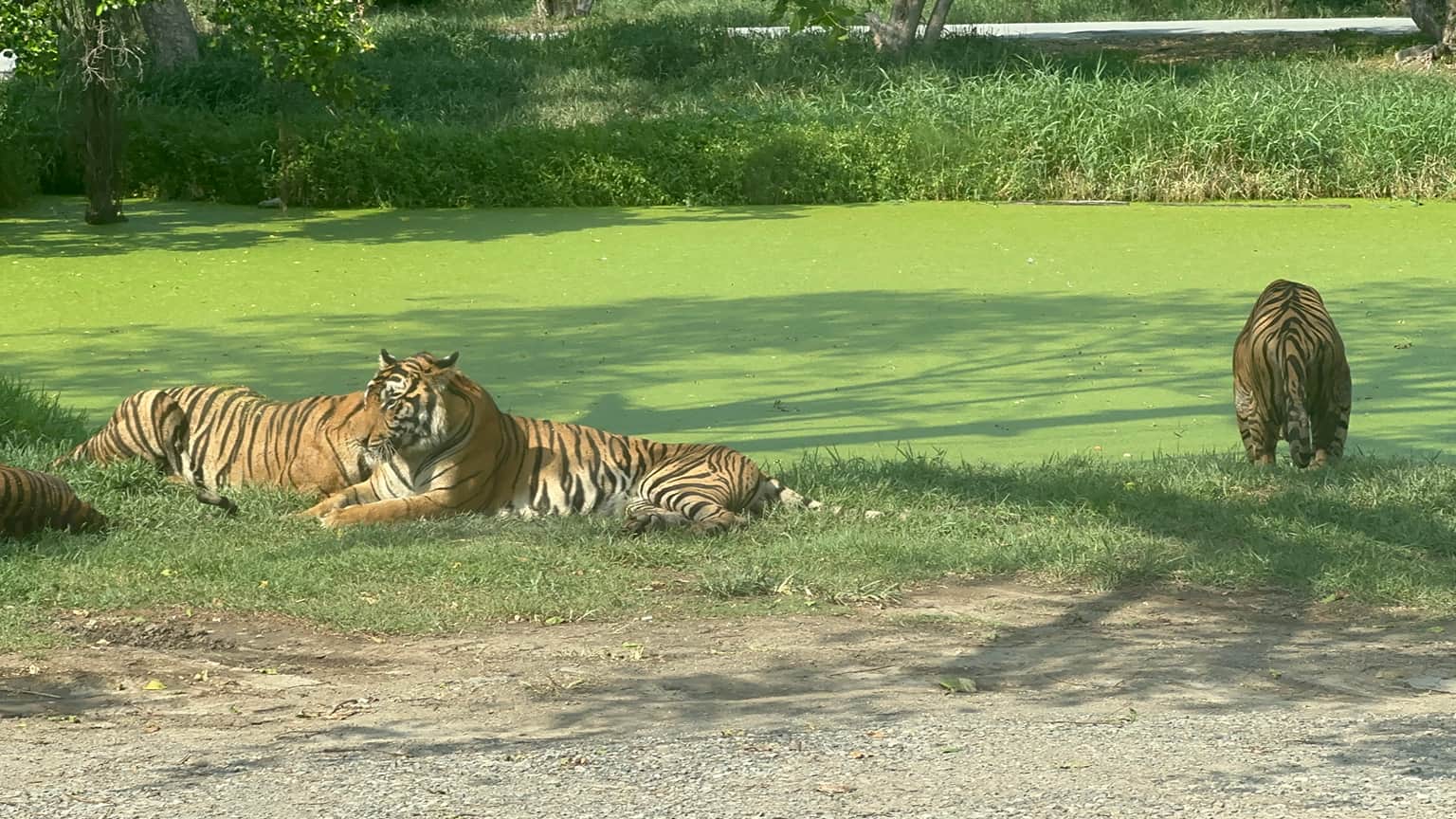 Photo from dhwani dhwani's trip