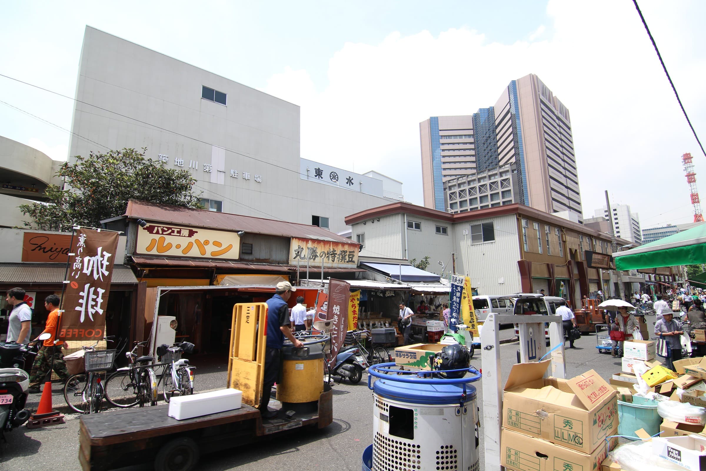 Explore the Tsukiji Outer Market