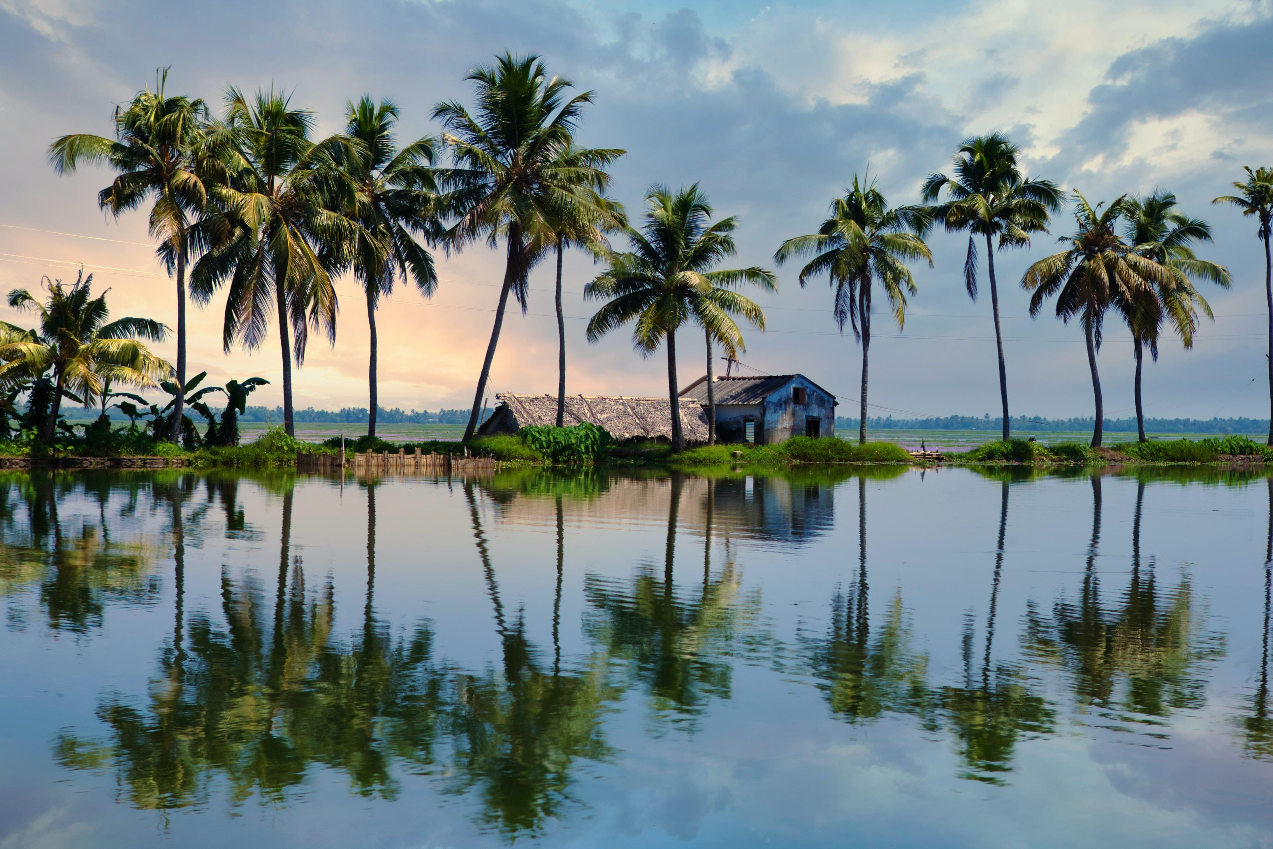 Wayanad Tour Package From Chennai