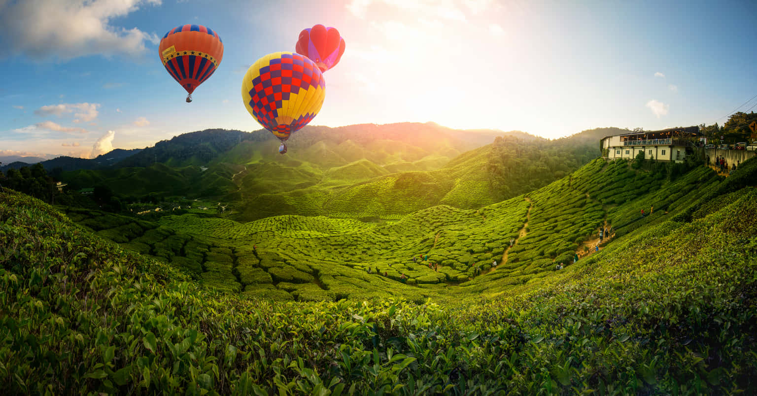 Malaysia with Cameron Highlands | Coastal Adventures & Cultural Gems