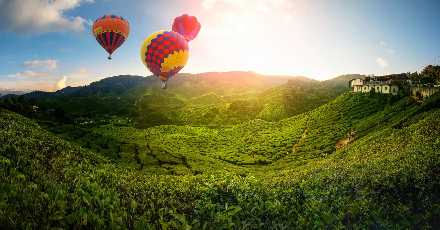 Malaysia with Cameron Highlands | Coastal Adventures & Cultural Gems