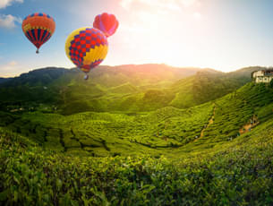 Beautiful Cameron Highlands