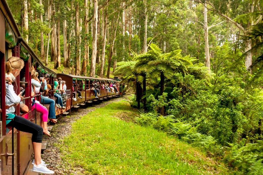 Puffing Billy & Healesville Sanctuary Tour Image