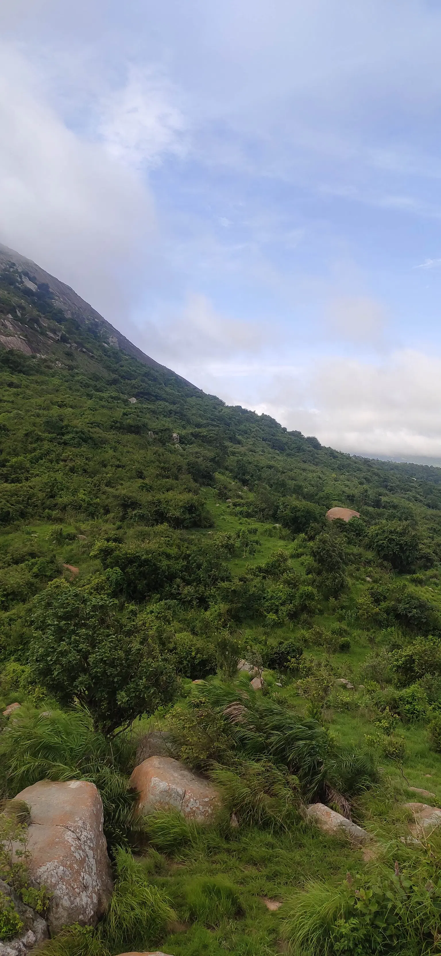 Photo from VINAY KUMAR's trip
