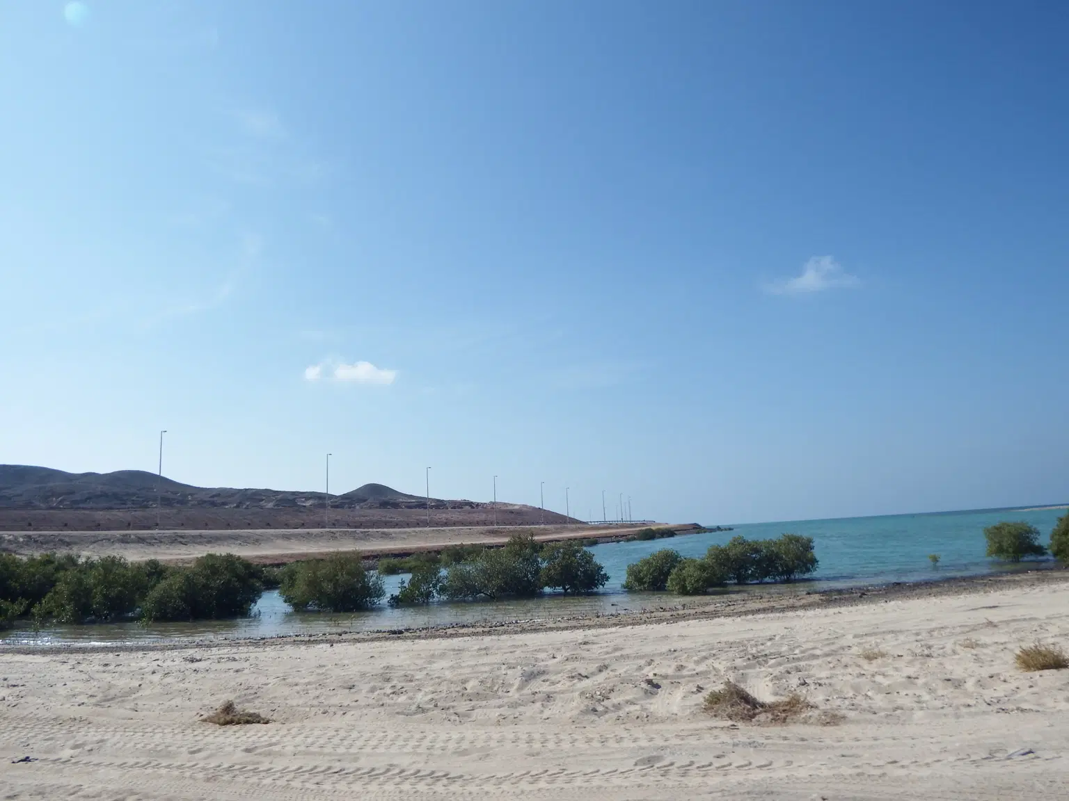 Dalma Island