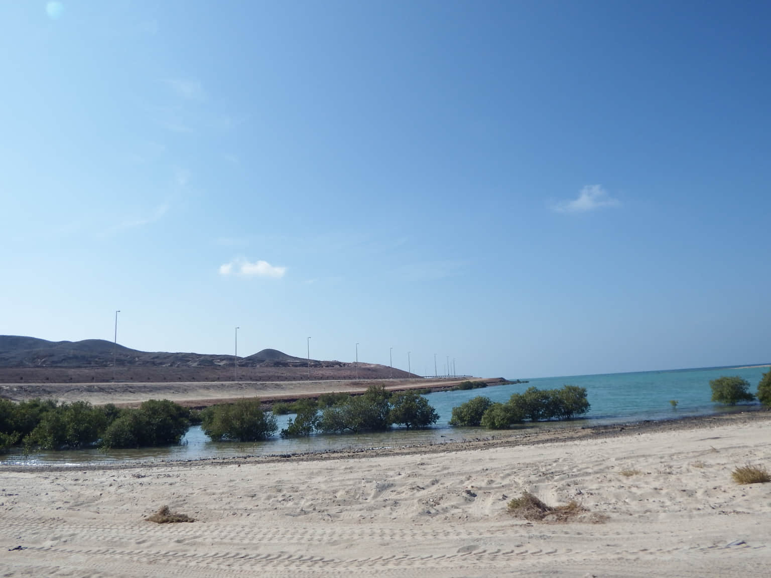 Dalma Island, <em>Abu Dhabi</em>