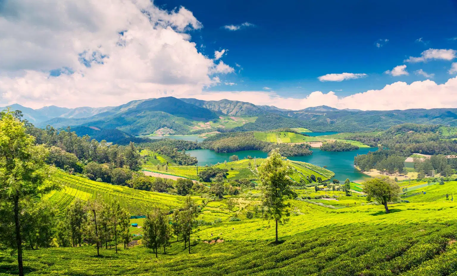 Bangalore, Mysore and Ooty Tour Package