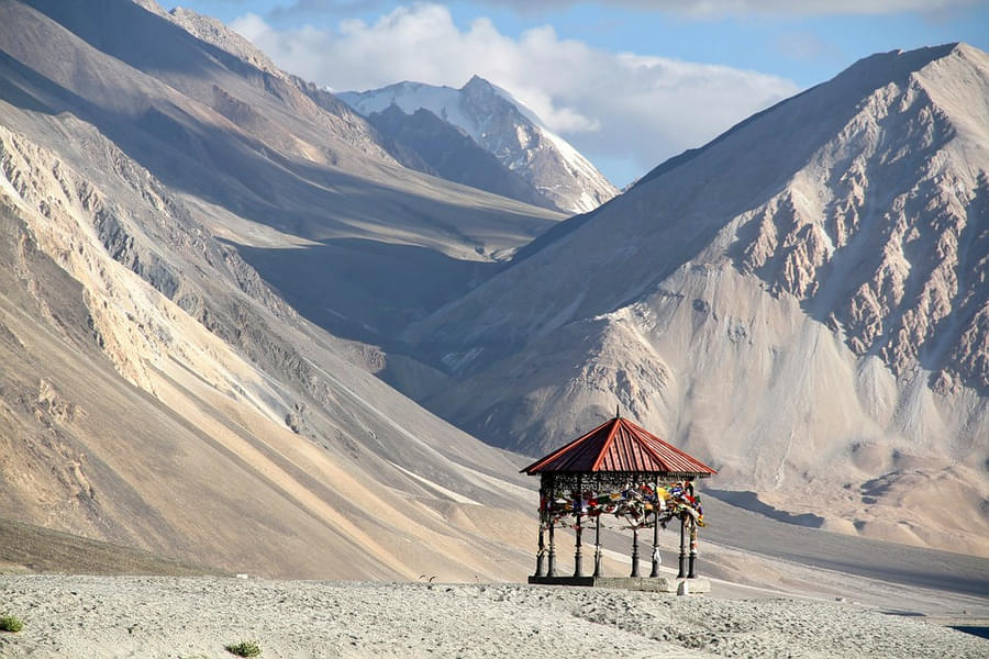 Tailor Made Ladakh 8 Day Tour Image
