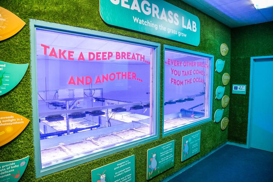 Seagrass laboratory