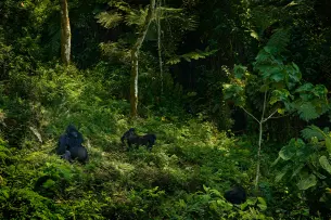 Xaf49orm1nmjvawkkb5a00mwv465 t0j3a9qslr8ns98k4x5khka7w9p8 shutterstock 2033209268 min