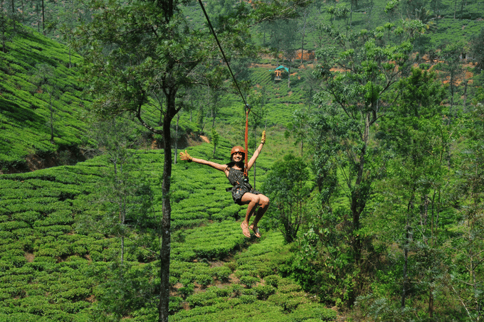 Zipline In Wayanad