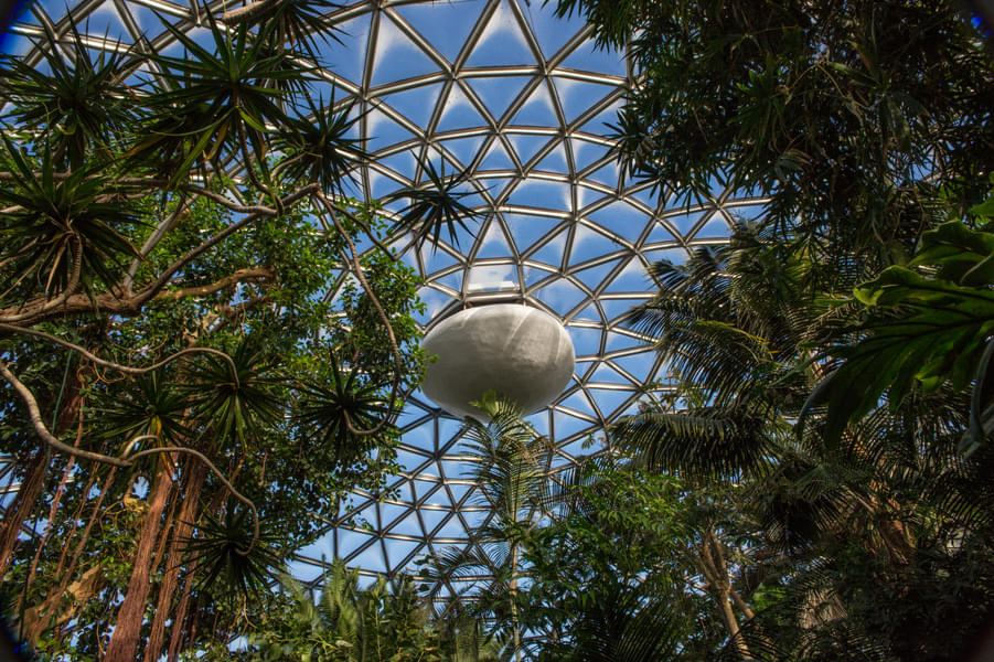 Bloedel Conservatory Tickets Image