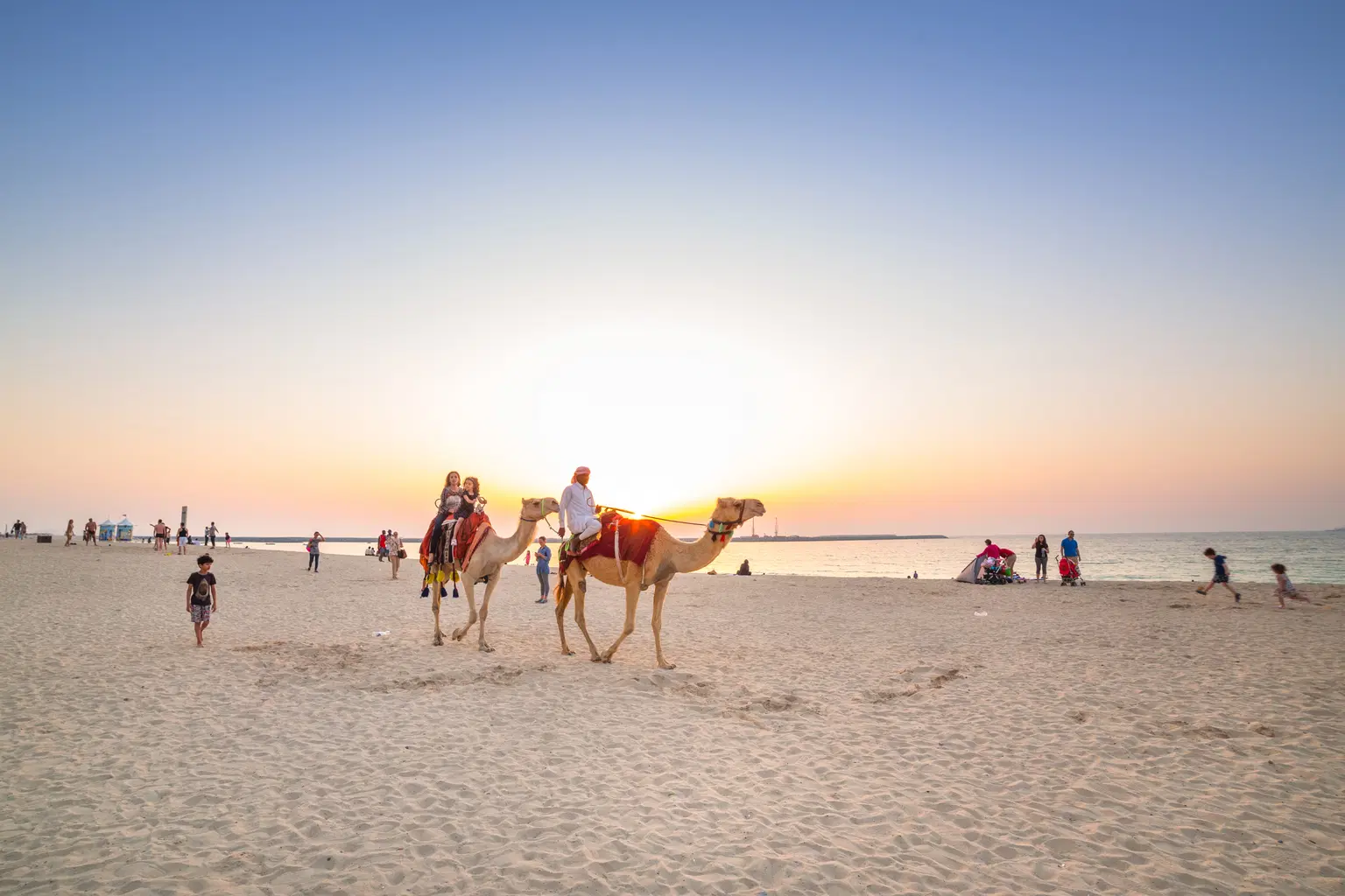 Camel Ride at Marina Beach