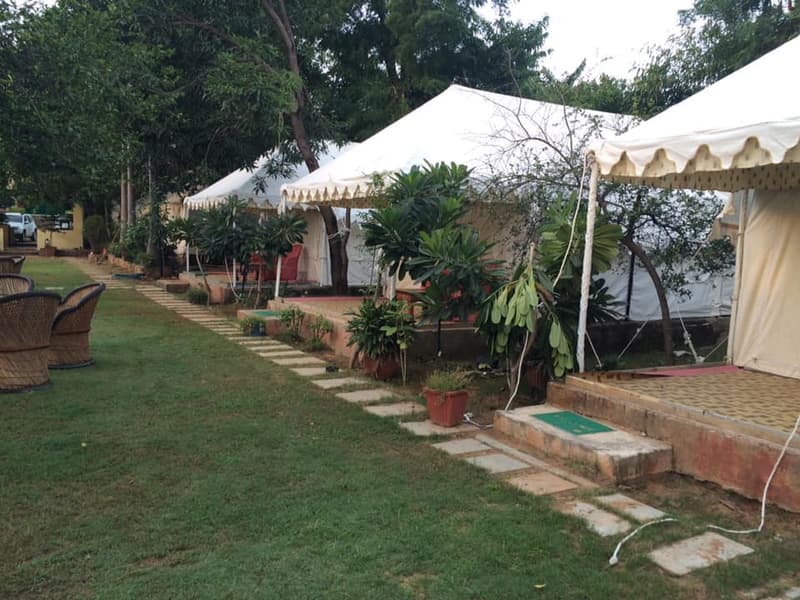 Sher Camp Ranthambore Image