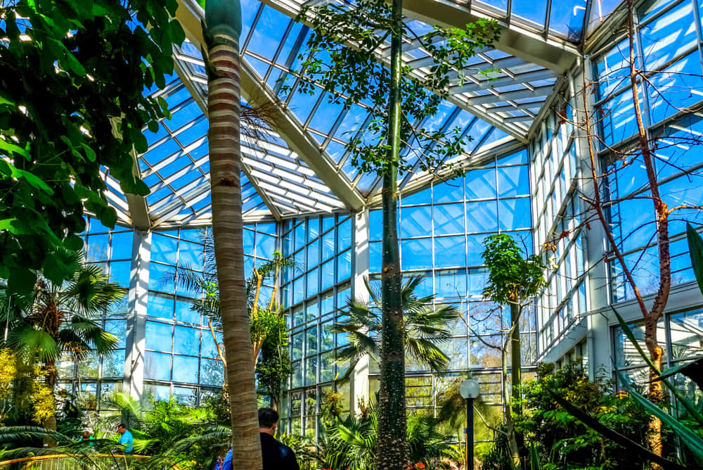 The Palm Garden