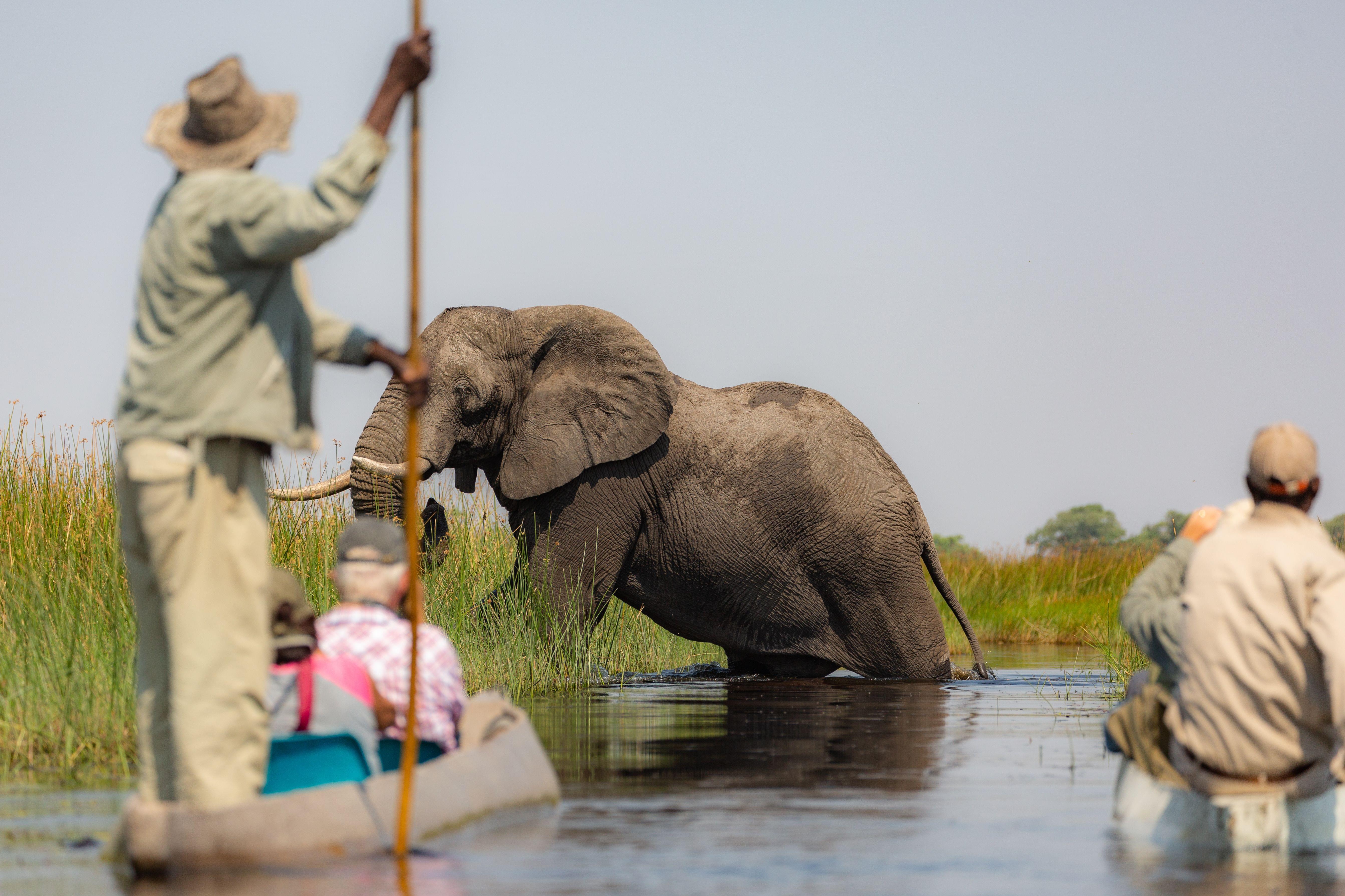 Botswana Safari Holidays