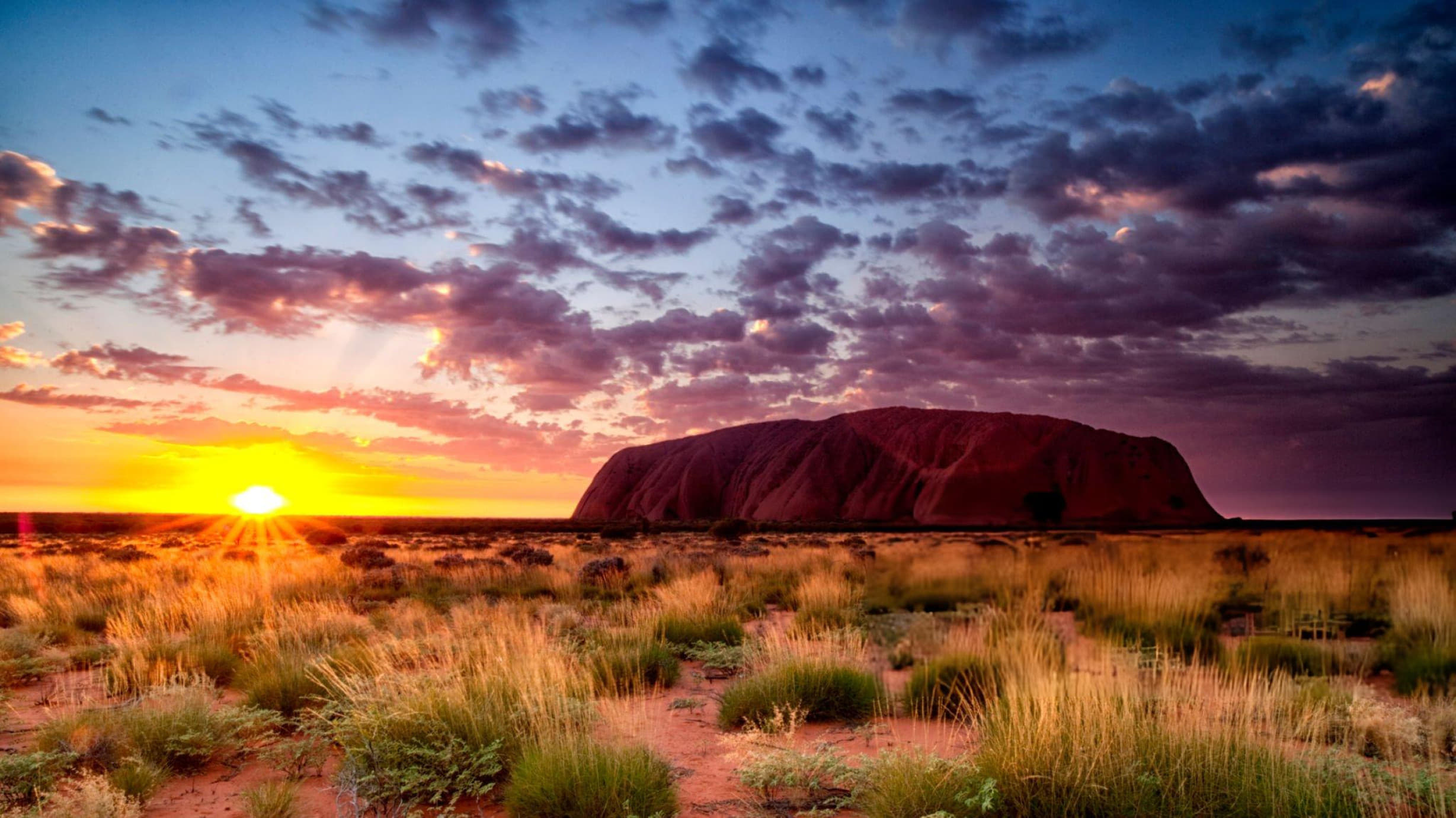 Admire the vast beauty of Uluru-Kata Tjuta National Park.