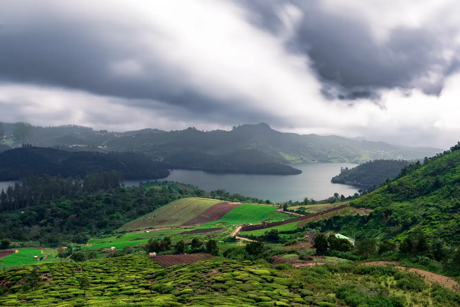 Ooty and Coonoor Delights | Journey to the Mystic Mountains