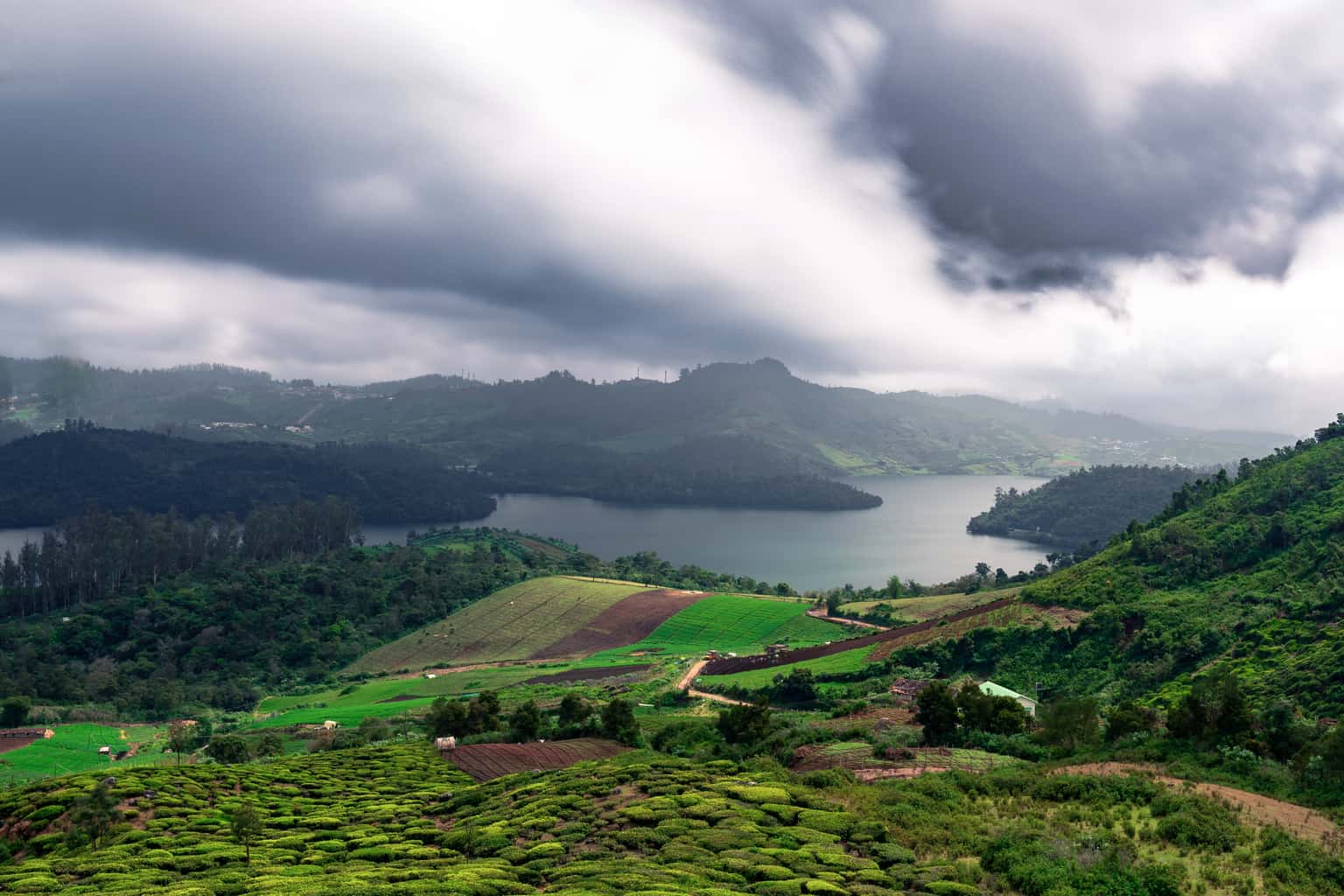 Ooty and Coonoor Delights | Journey to the Mystic Mountains