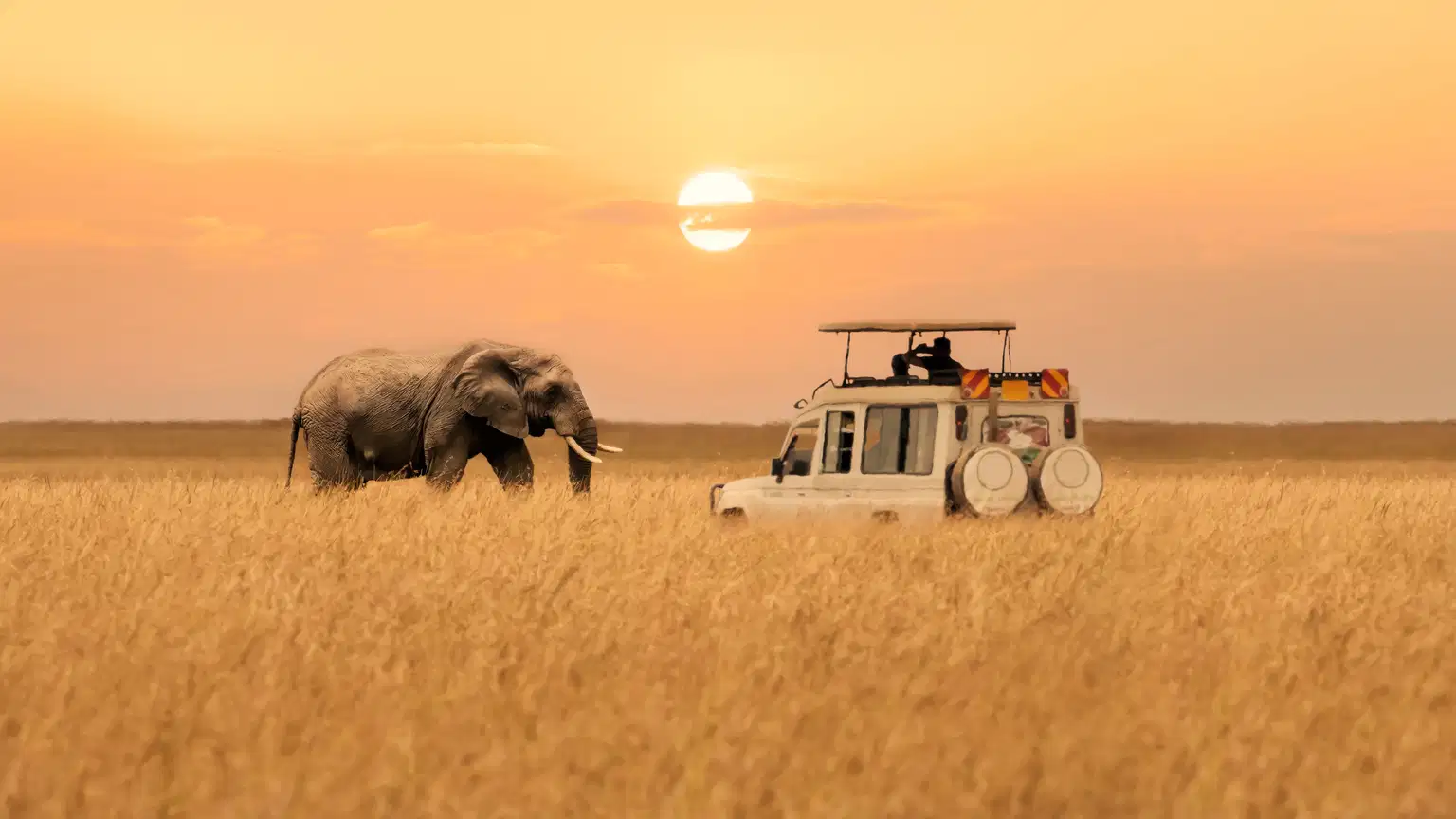 Highlights of Kenya - The Ultimate Safari Experience