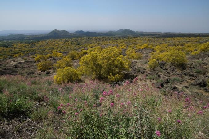 mount etna spring.jpg