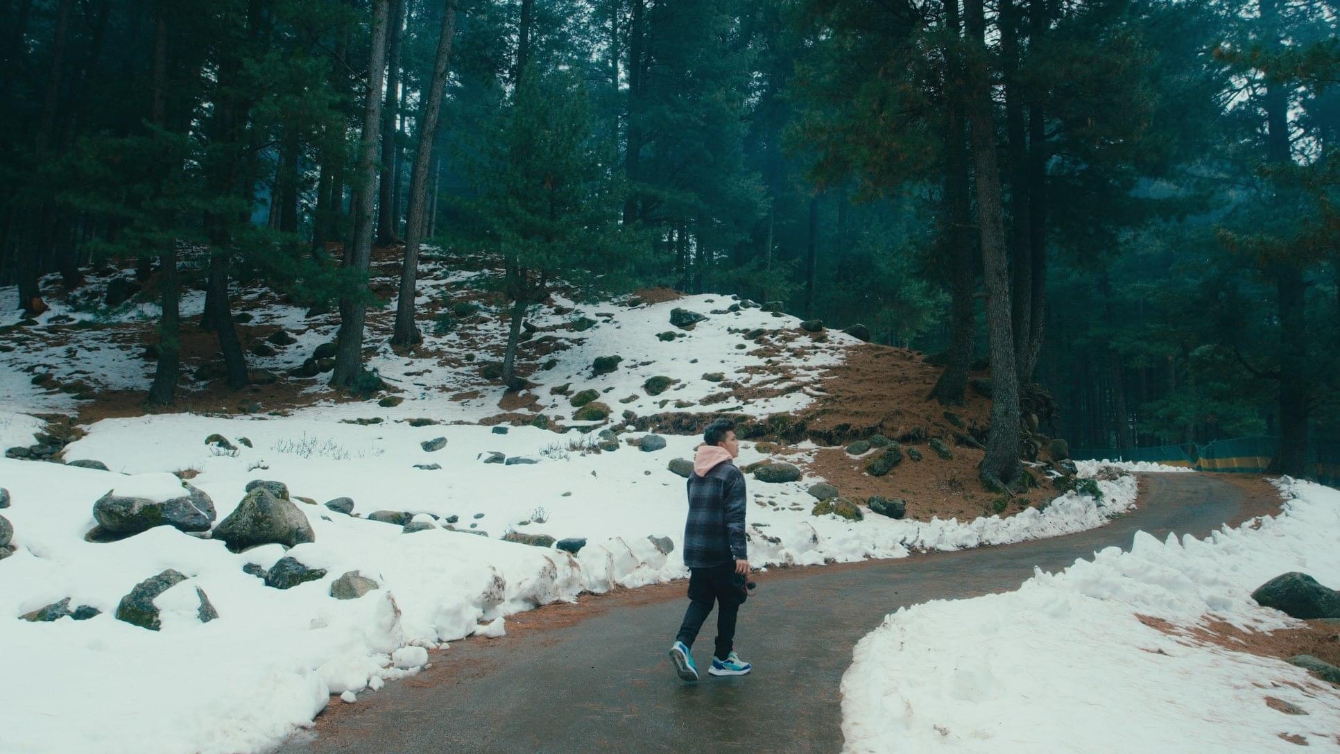 Nature Walks
