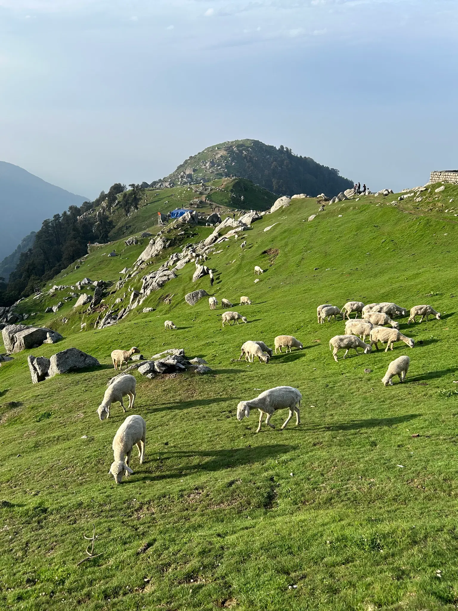 Photo from Deipali Khanna's trip
