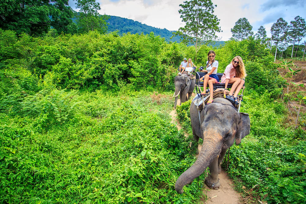 Krabi Elephant Sanctuary Overview