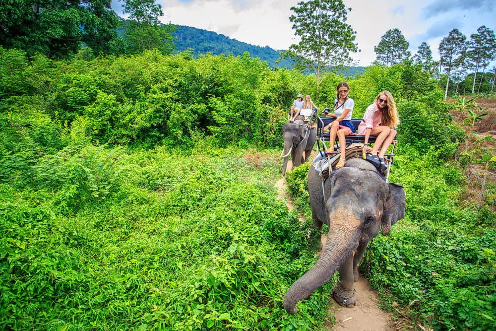 Krabi Elephant Sanctuary