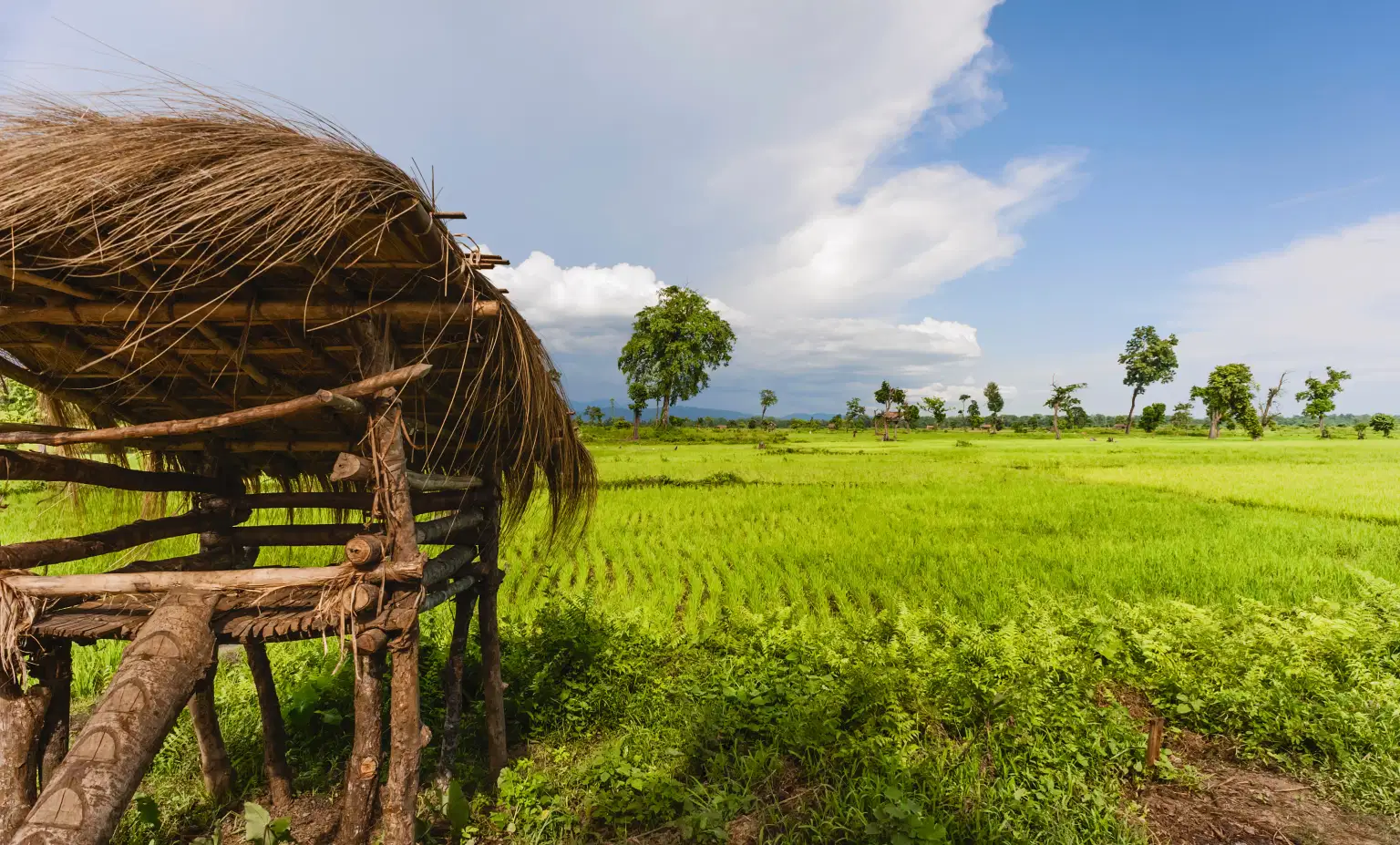<em>Arunachal Pradesh</em> Tour Packages From Vadodara