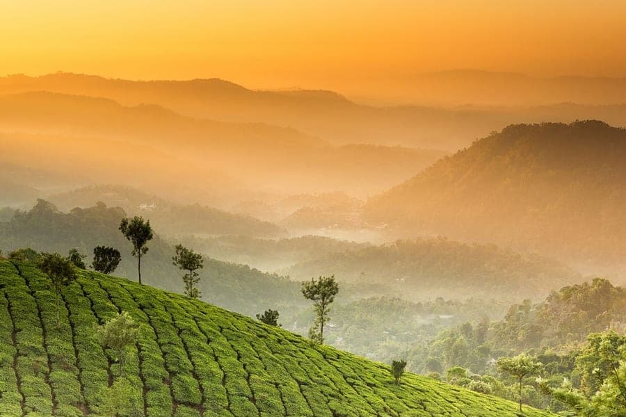 Munnar 3 Days Honeymoon Package Image