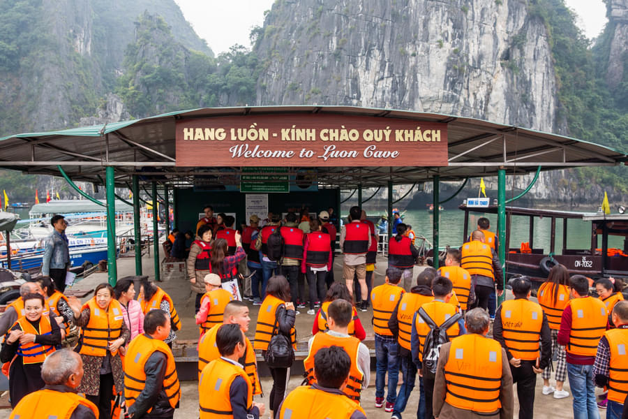 Luon Cave and Titop Island Full Day Tour in Halong Bay Image