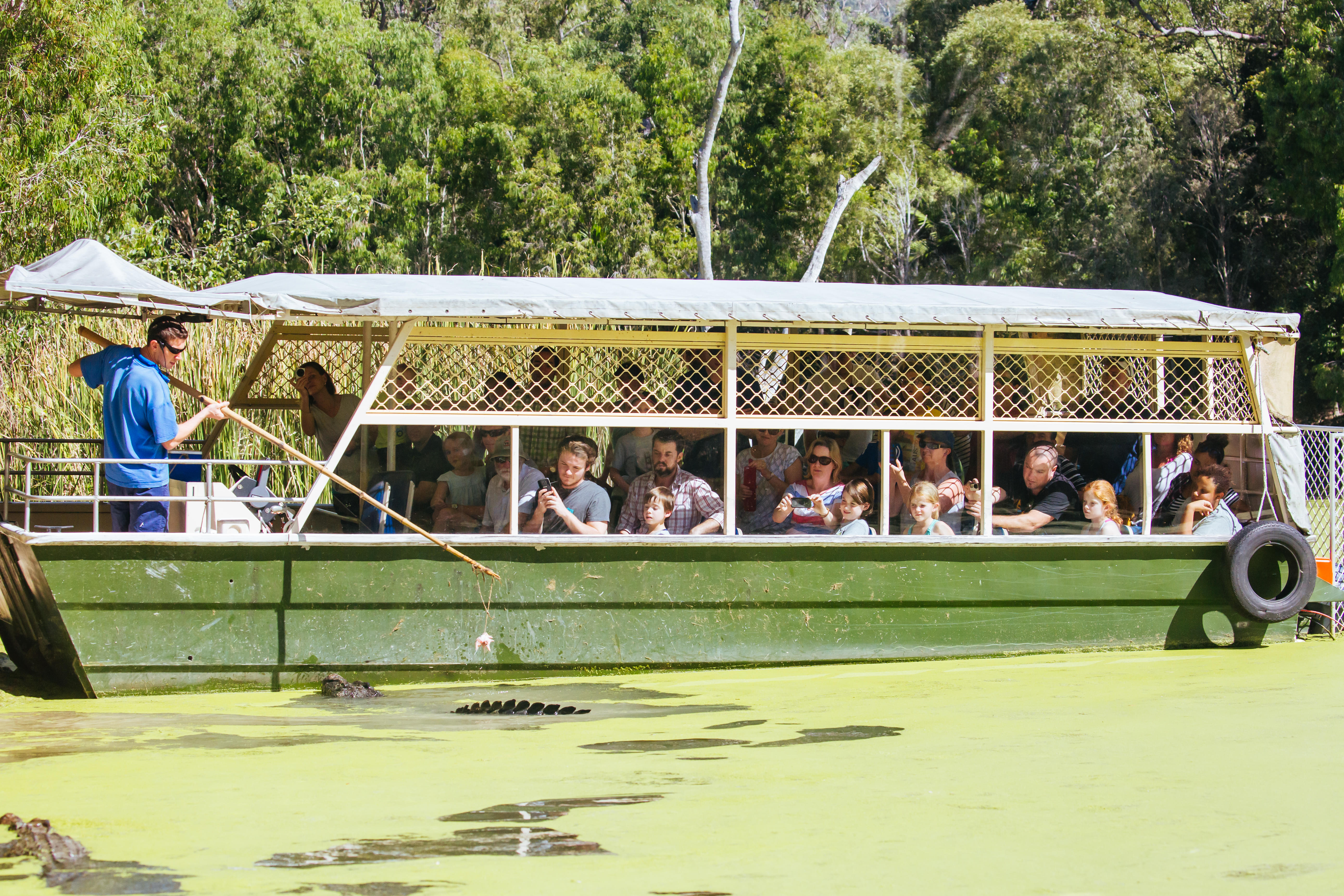 Hartley’s Crocodile Adventures, Cairns