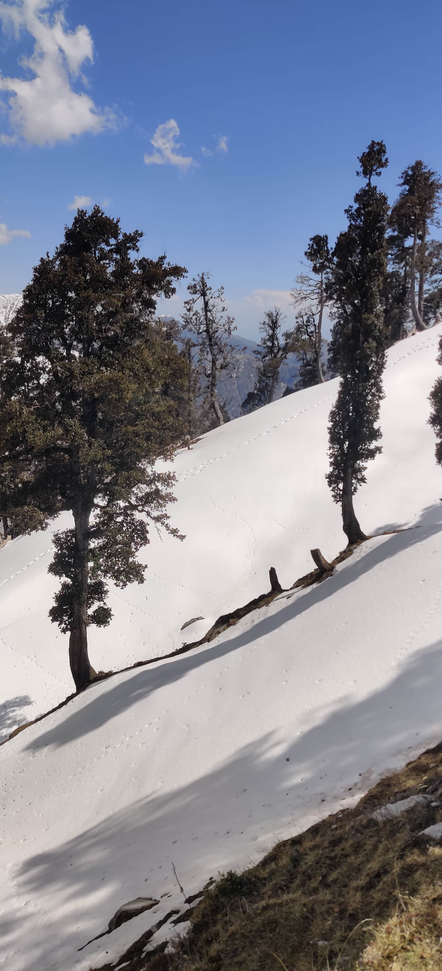 Photo from Rahul  Joshi's trip