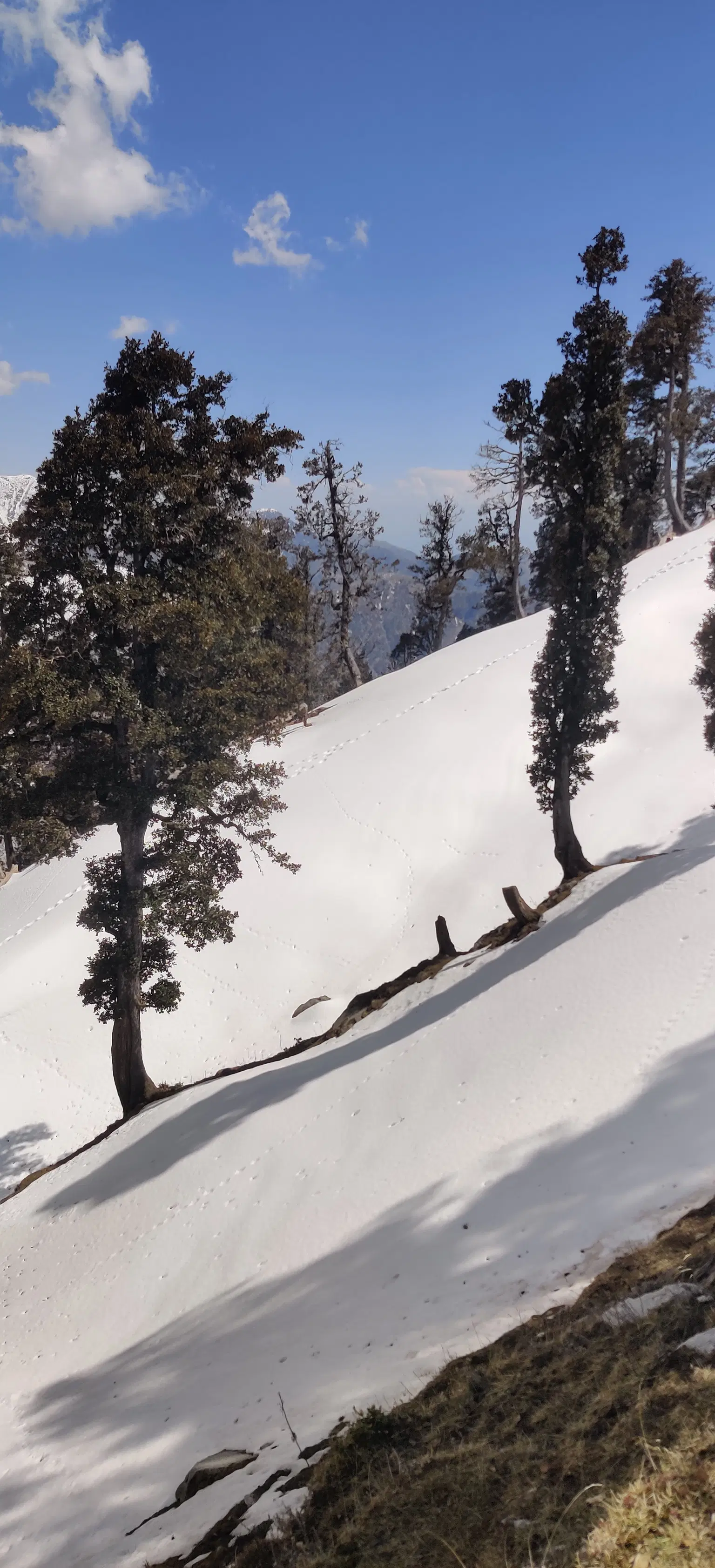 Photo from Rahul  Joshi's trip