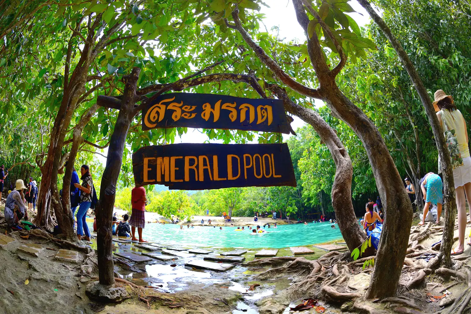 Emerald Pool Krabi Tour with Tiger Cave Temple