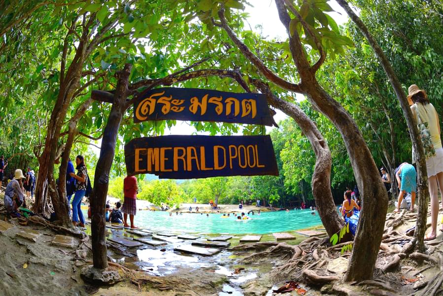 Emerald Pool Krabi Tour with Tiger Cave Temple Image
