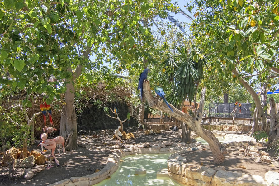 Jardines de Alfabia Tickets Image