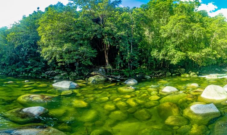 Daintree National Park