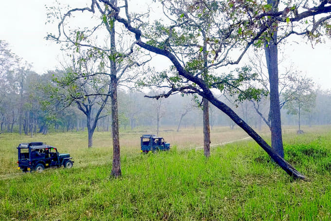 Muthanga Wildlife Safari Wayanad