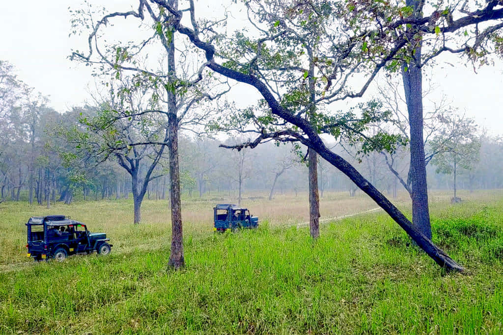 Muthanga Wildlife Safari Wayanad