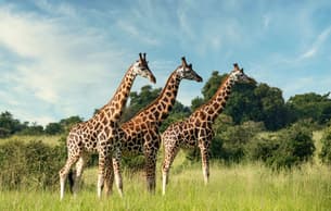 Xk1ra2s0ifo3wbq1bhx1yiip824s dl.beatsnoop.com 3000 ztdlgzyhco