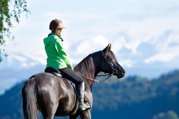 Etna Horse Riding Tour 1 Day