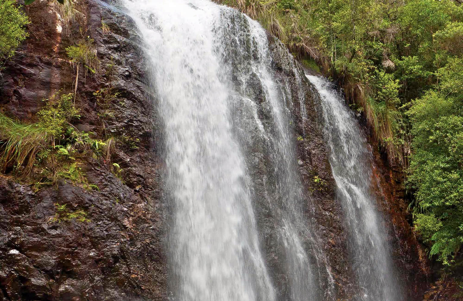 Manikyadhara Falls